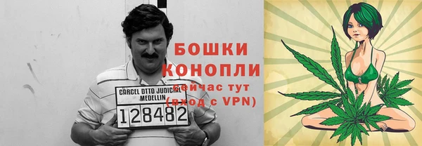 стафф Надым