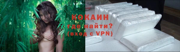 стафф Надым