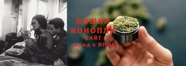 ГАЛЛЮЦИНОГЕННЫЕ ГРИБЫ Михайловск