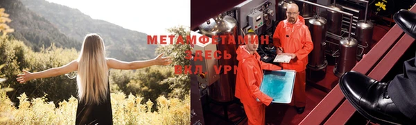 стафф Надым