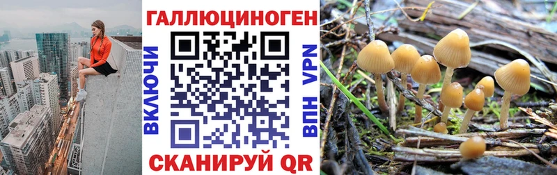 Псилоцибиновые грибы Magic Shrooms  маркетплейс клад  Кяхта 
